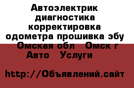 Автоэлектрик,диагностика,корректировка одометра,прошивка эбу. - Омская обл., Омск г. Авто » Услуги   